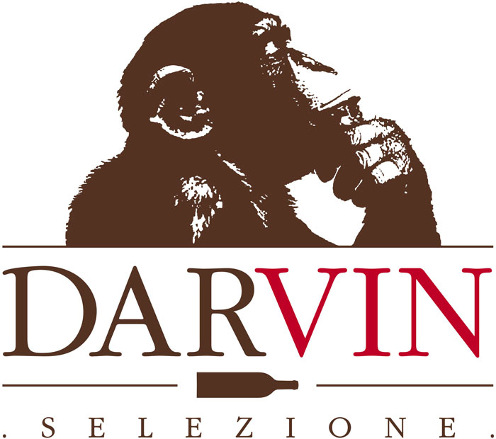 Marco Sassano - Divino Academy